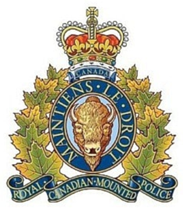 Up close with the Surrey RCMP - Surrey Now-Leader